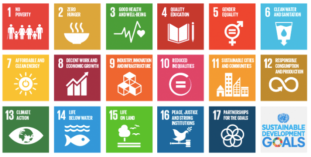 SDG-goals SDG Goals