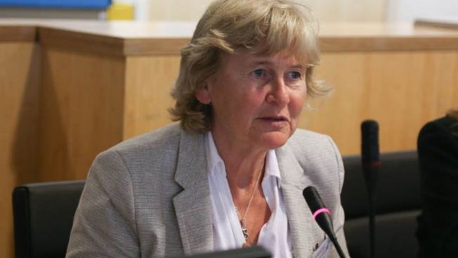 Eesc Un Meeting SDGs Sian Jones C Eesc Eesc Un Meeting SDGs Sian Jones image copyright eesc