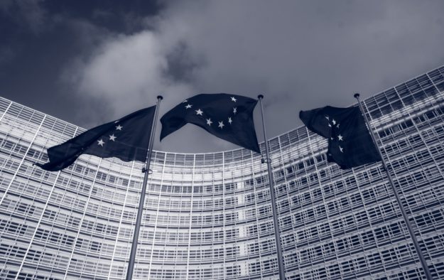 EAPN EU Flags Black And White 5150